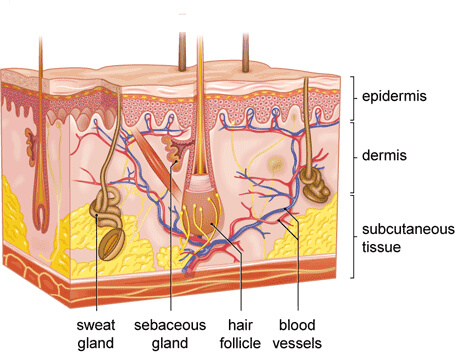 Acne Treatments Sheffield